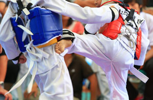 Taekwondo Greasley