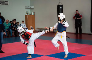 Burnham Taekwondo Kicks
